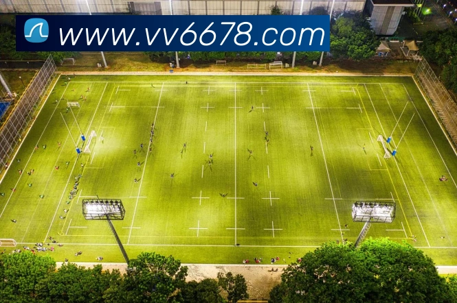 v66APP 封面图